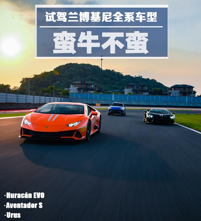 蛮牛不蛮 试驾兰博基尼Huracán EVO