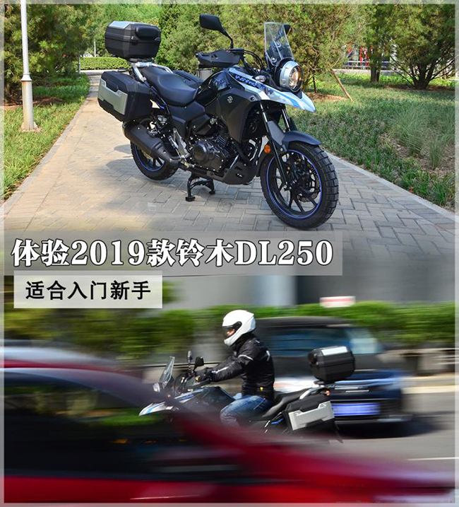 适合入门新手 体验2019款铃木DL250