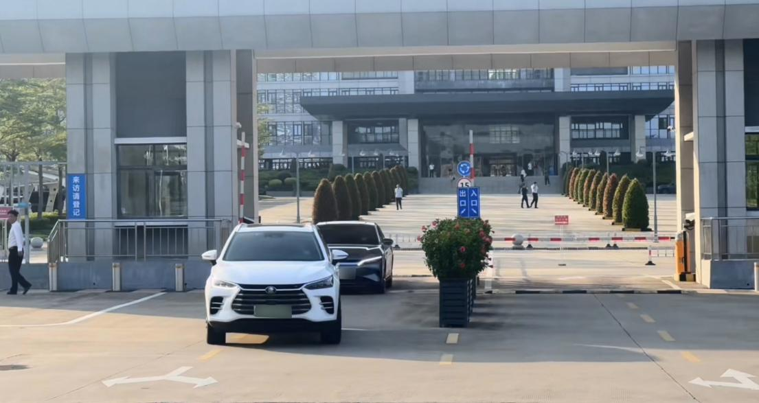 “开”进公务员生活圈 政府大院停满比亚迪